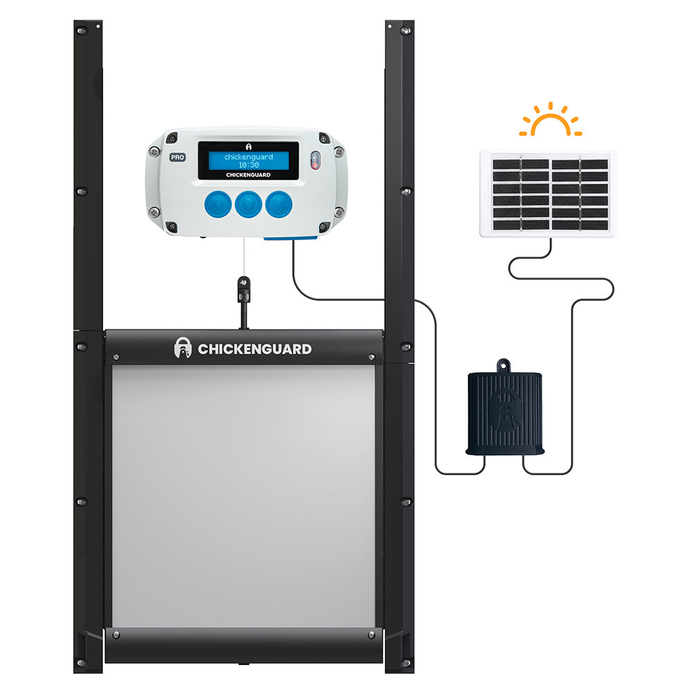 Chickenguard med hønselem og solceller