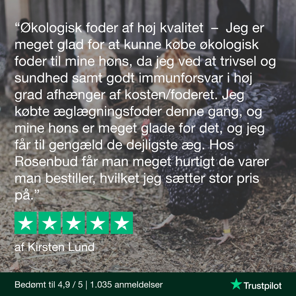 Økologisk hønsefoder fra Rosenbud