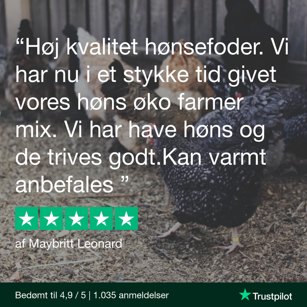 Økologisk farmermix hønsefoder fra Rosenbud